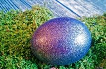 Glitzer Osterei