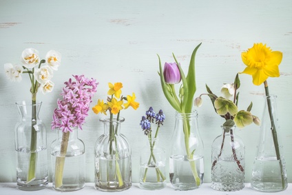 Frühlingsblumen in kleinen Vasen