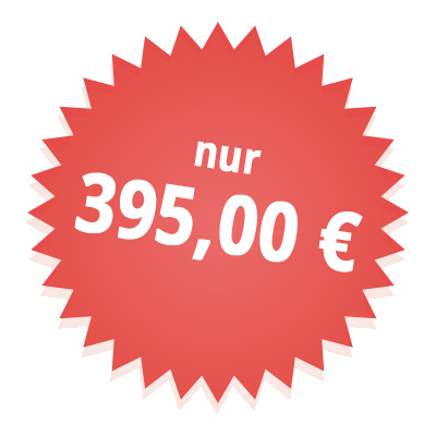 Preisschild Salsa