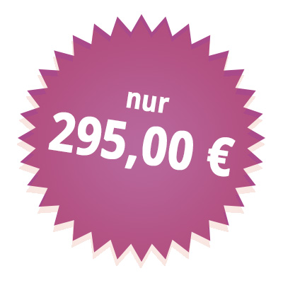 Preisschild Discofox